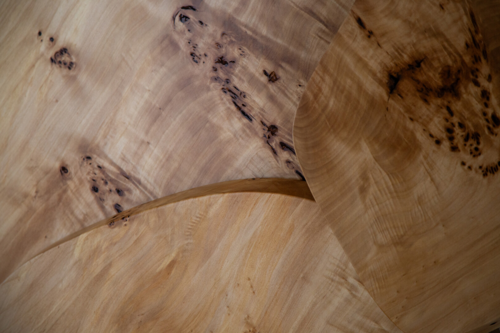 L SERIES LIVE EDGE
