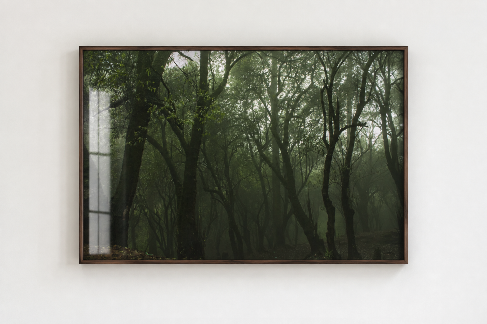 TRANSITION # 15 – TRANSITION SERIES