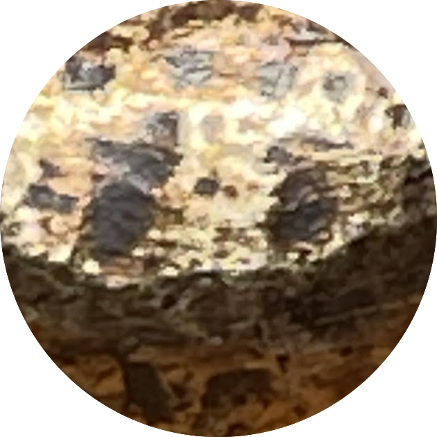 AGED BRONZE