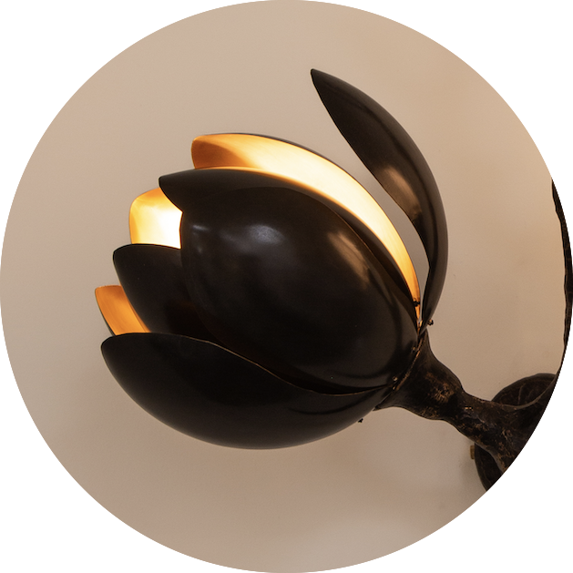 BLACK SHADE