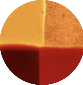 CANYON