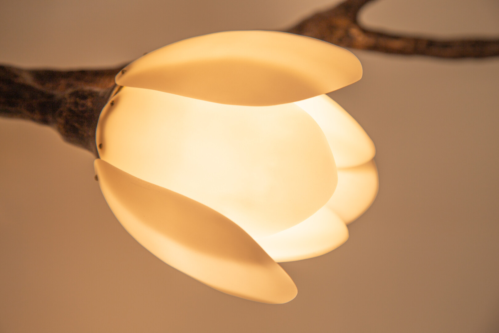 GEORGINA MAGNOLIA SCONCE