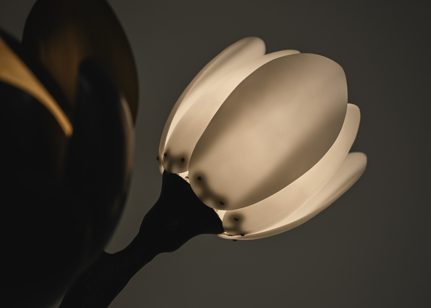 GEORGINA MAGNOLIA SCONCE