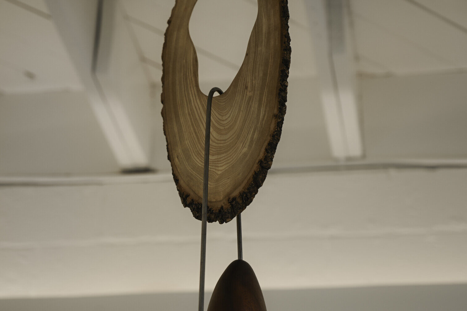SUSPENSION #15 – THE MANGO