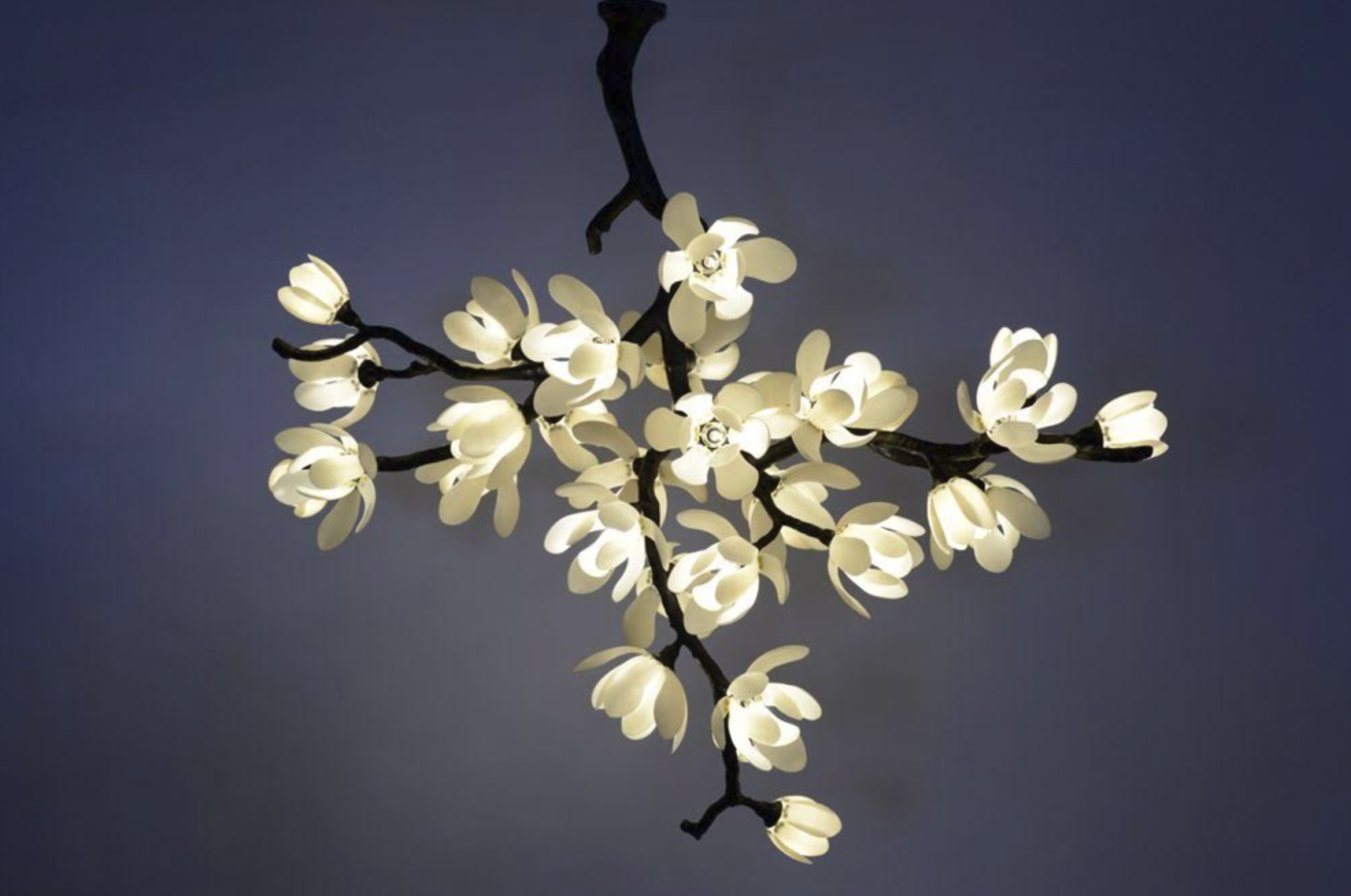 GEORGINA MAGNOLIA CASCADE
