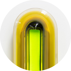 CANARY YELLOW