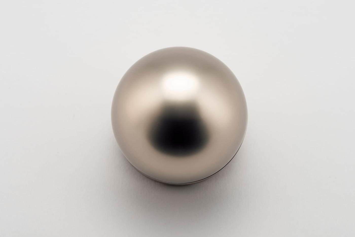 H02 – KNOB ON ROSE