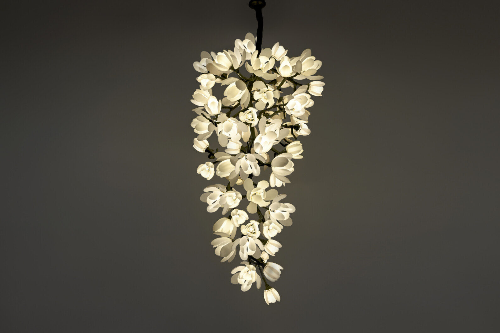GEORGINA MAGNOLIA CLUSTER