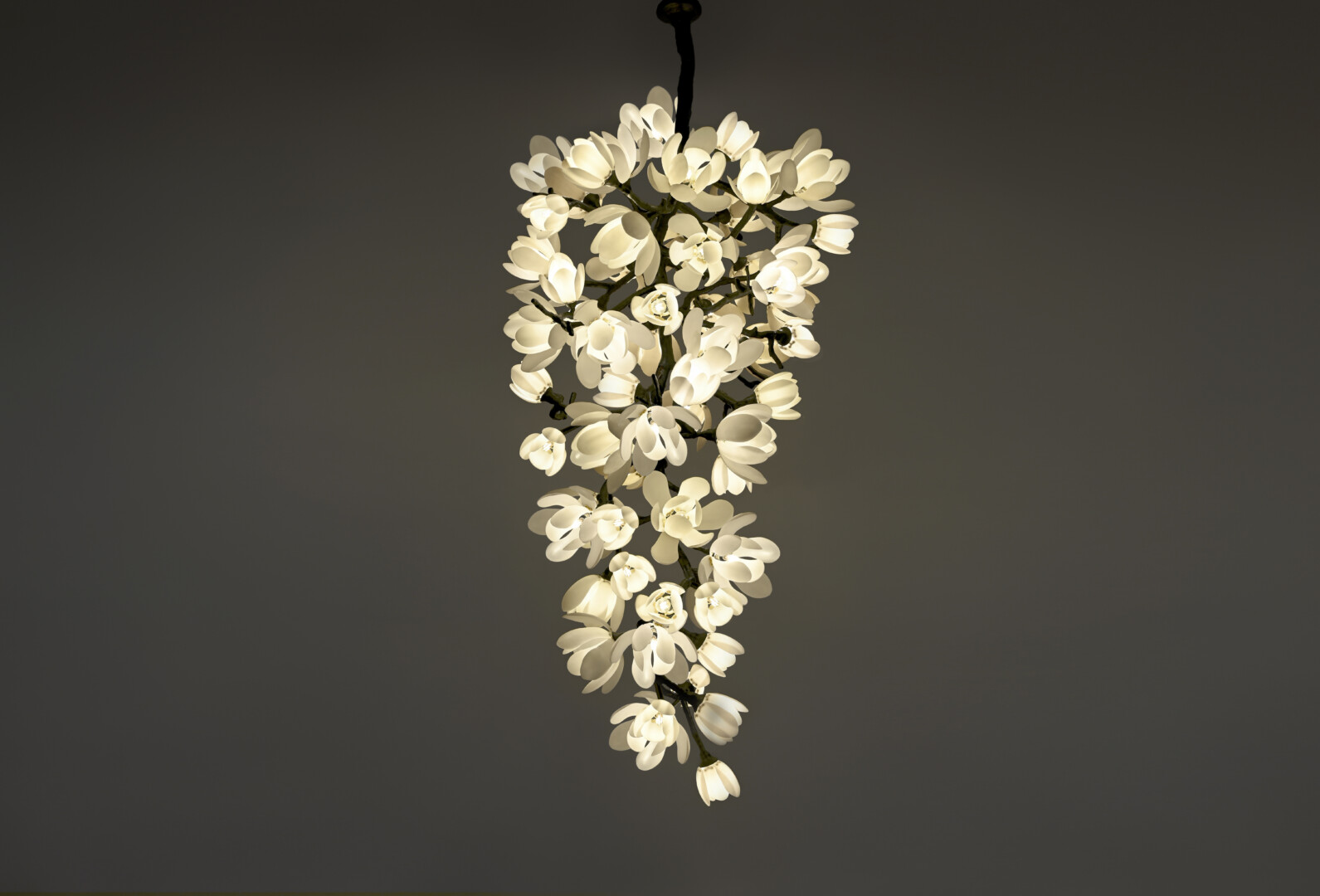GEORGINA MAGNOLIA CLUSTER